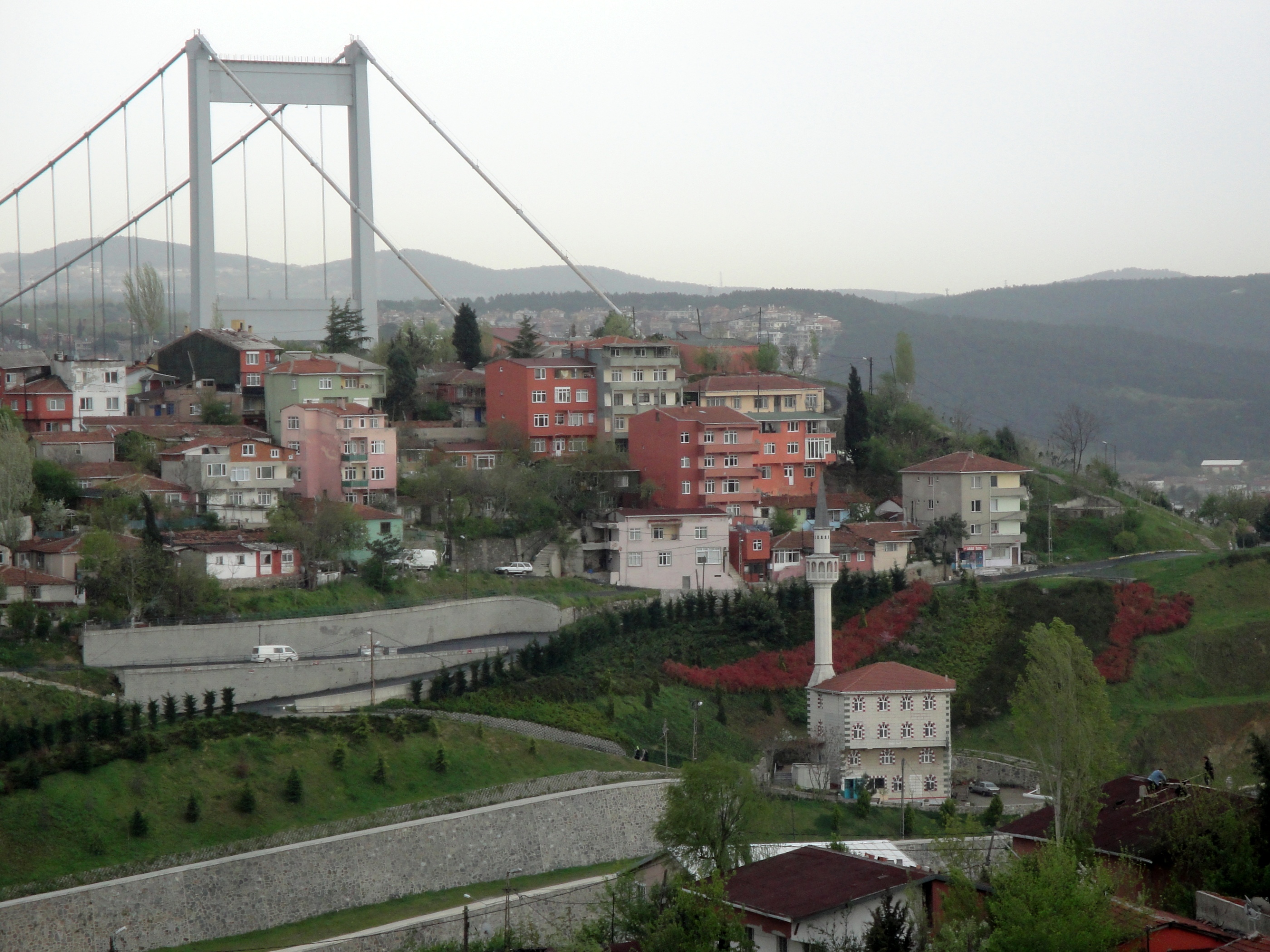 Baltalimanı